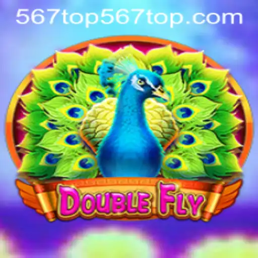 DoubleFly: A New Adventure in the Gaming World